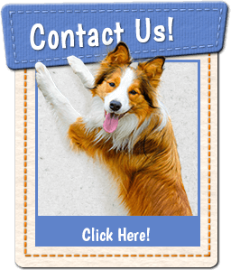 Contact Us! Click here! Contact Us! Click here!